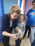 К нам в гости приехал контактный зоопарк